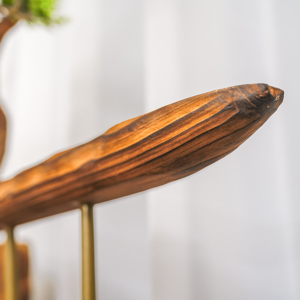 The Rooted Display - Shelf