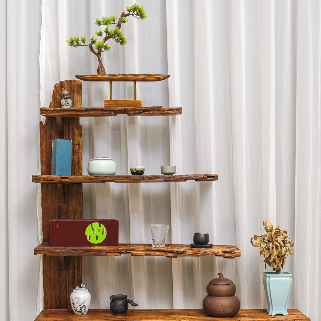 The Rooted Display - Shelf