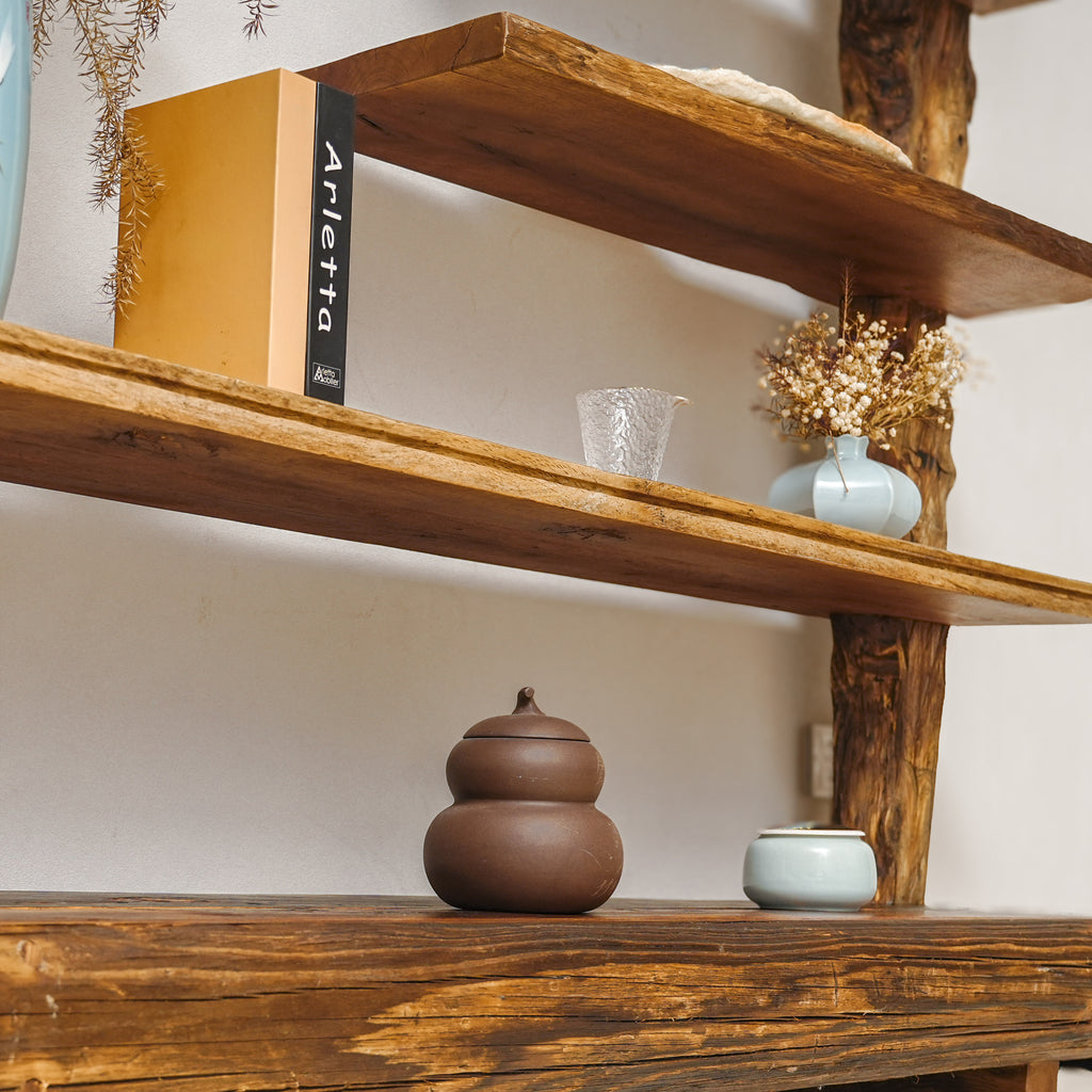 The Living Trunk — Bookshelf