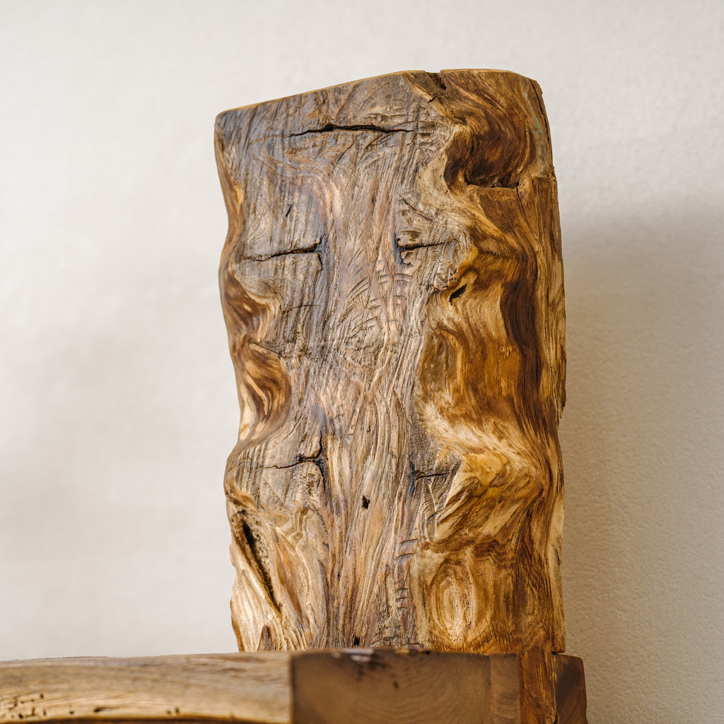 The Living Trunk — Bookshelf