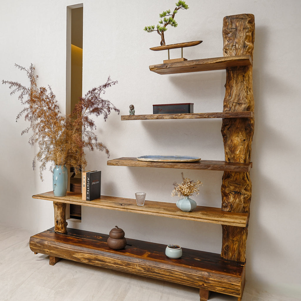 The Living Trunk — Bookshelf