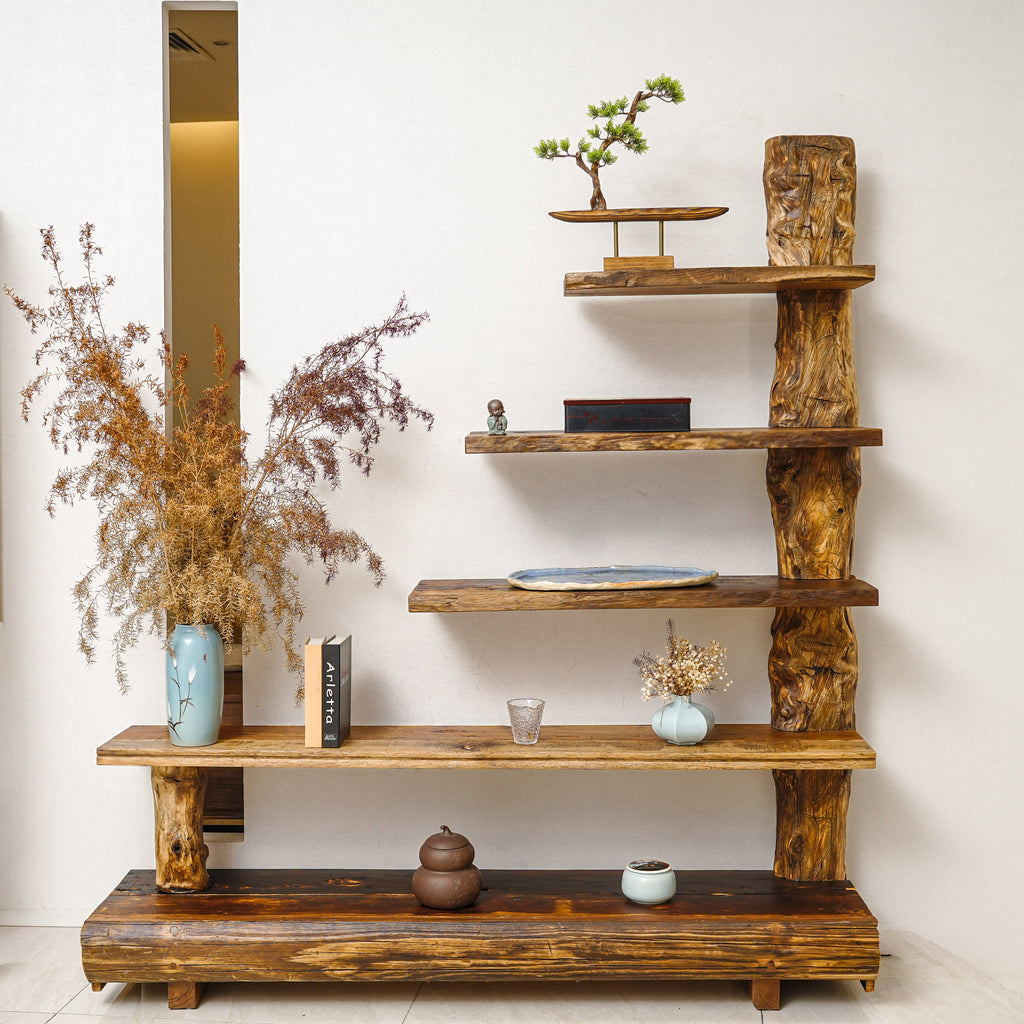 The Living Trunk — Bookshelf