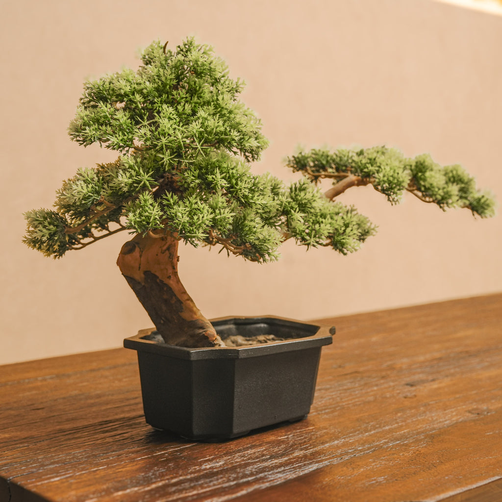 Rootline - Aged Wood Tisch