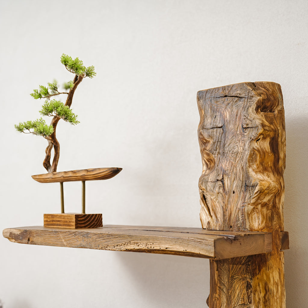 The Living Trunk — Bookshelf